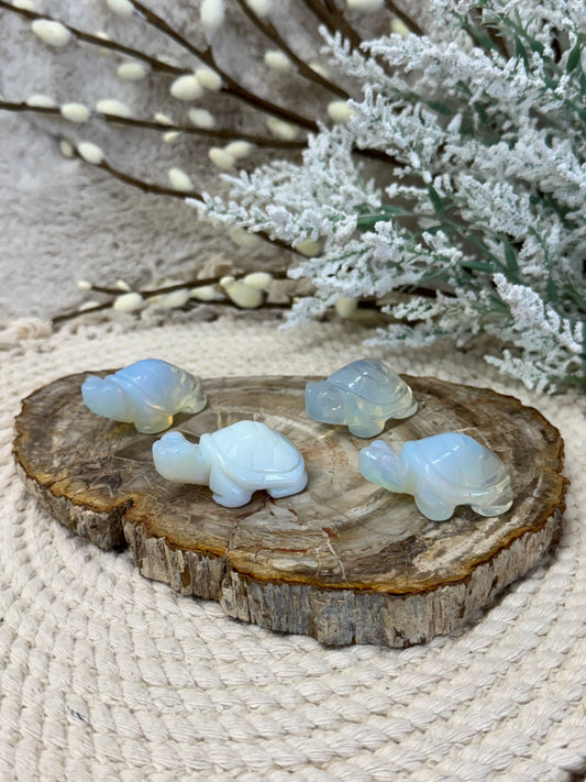 Opalite Turtle