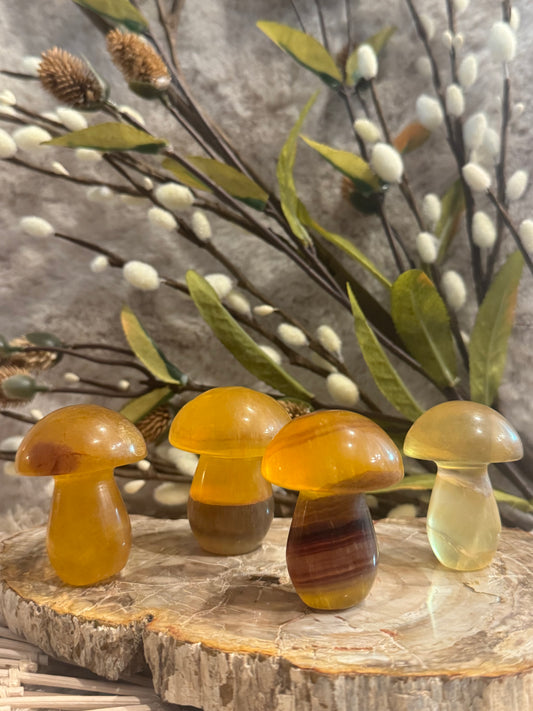 Natural Yellow Fluorite Mushrooms