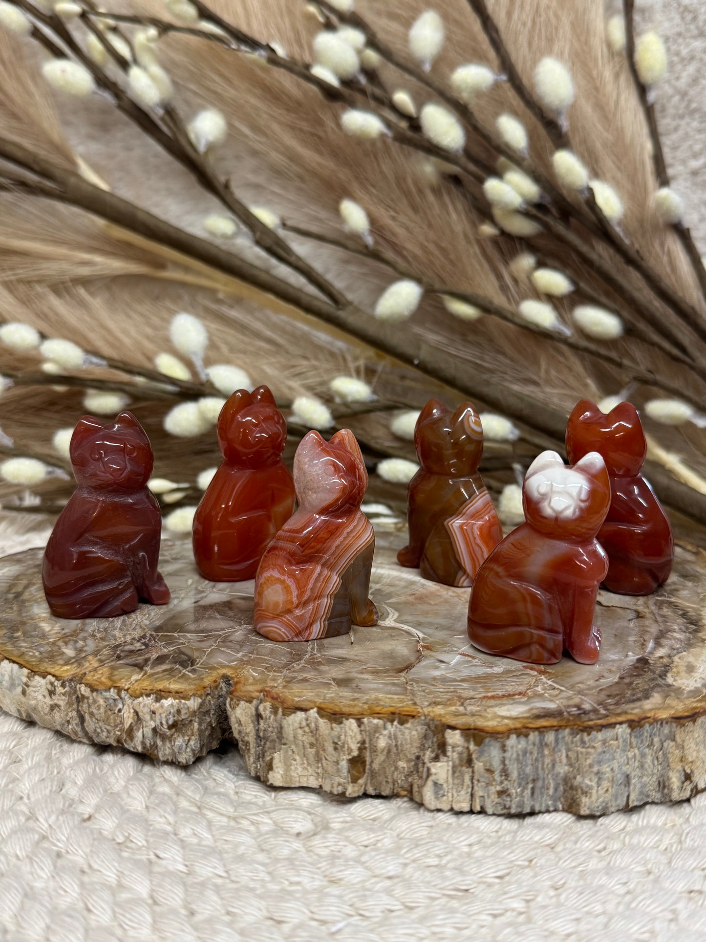 Carnelian Cats