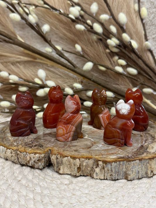 Carnelian Cats