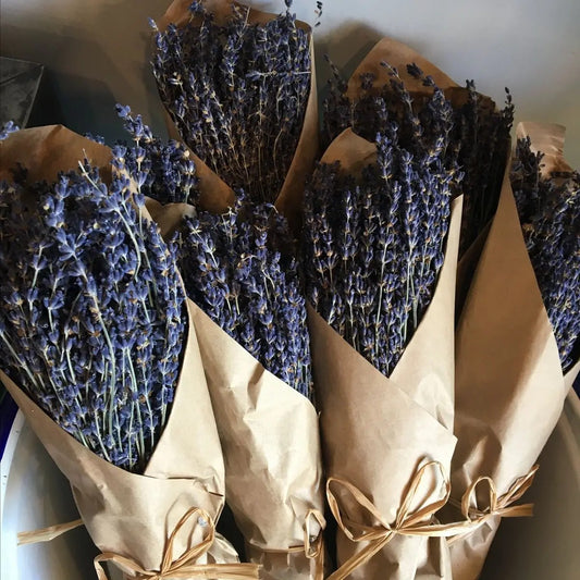 Organic Lavender Bundles